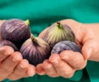 PENNY Feigen Angebot