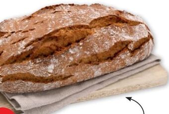 PENNY Krustenbrot Angebot