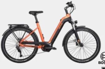 XXL Sports E-bike quadriga town&country perf cx Angebot