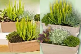 Norma Balkonkasten Angebot