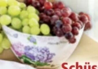 Norma Schüssel Angebot