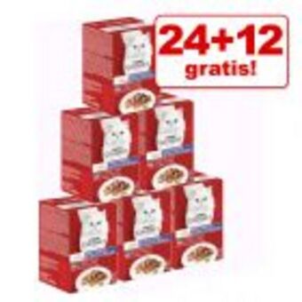 Zooplus 24 + 12 gratis! 36 x 50 g mixpaket gourmet mon petit katzenfutter Angebot