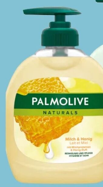 Spar Seife pumpe Angebot