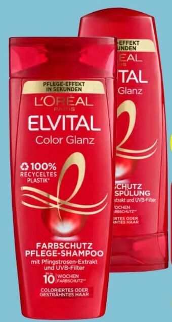 Spar Elvital shampoo Angebot