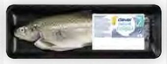 Billa Forelle Angebot