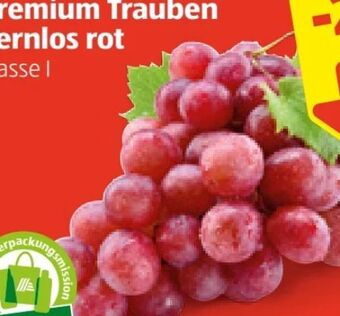 Hofer Trauben Angebot