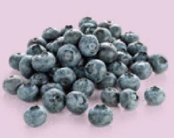 Hofer Heidelbeeren Angebot