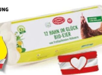 Hofer Bio-eier Angebot