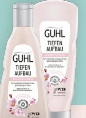 Bipa Shampoo Angebot