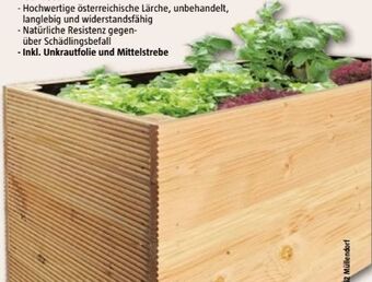 Bauhaus Hochbeet lärche Angebot