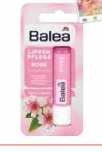 dm Lippenpflege Angebot