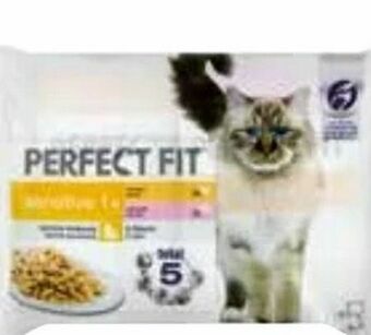 dm Katzenfutter Angebot