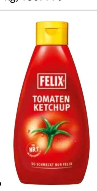 Transgourmet Ketchup Angebot