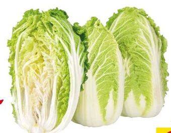 Transgourmet Chinakohl Angebot