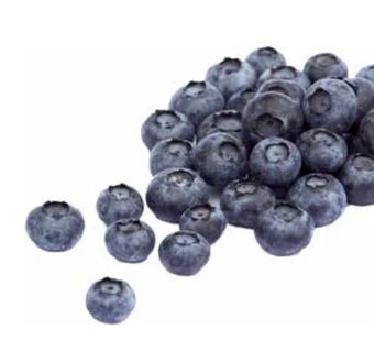 Transgourmet Heidelbeeren Angebot