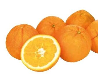 Transgourmet Orangen Angebot