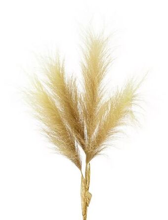 Mömax Kunstpflanze pampasgras Angebot