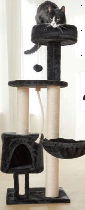 Lidl Kratzbaum Angebot