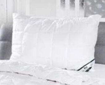 Möbel Ludwig Kissen Angebot