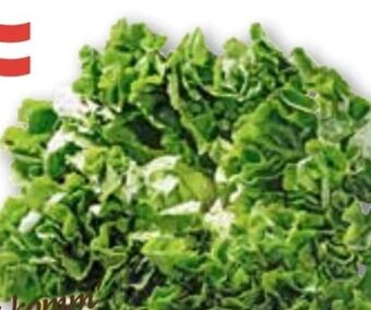 ADEG Endivien salat Angebot