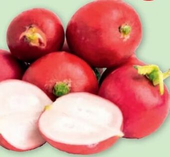 PENNY Snack radieschen Angebot