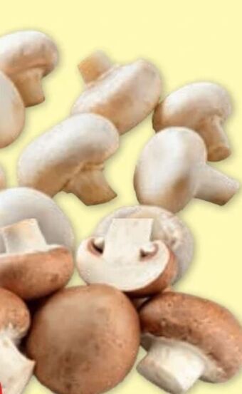 PENNY Champignons Angebot