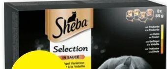 PENNY Selection Angebot