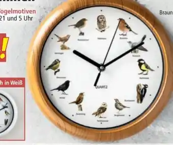 Norma Vogelstimmen-wanduhr Angebot