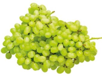 Lidl Trauben hell kernlos Angebot