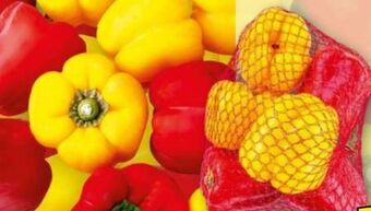 Norma Paprika sweet mix Angebot