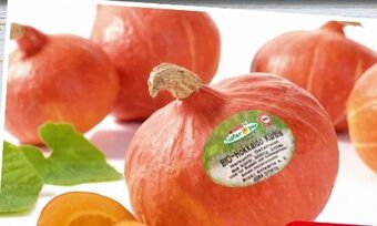 Spar Bio-hokkaido kürbis Angebot