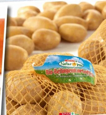 Spar Bio beilagenkartoffeln Angebot