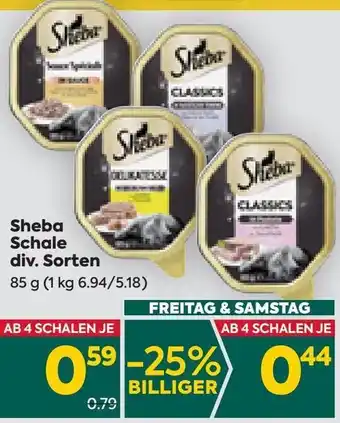 Billa Sheba Schale 85 g Angebot