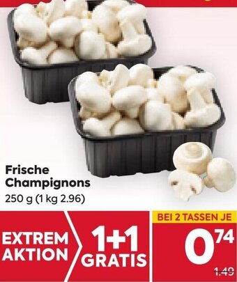 Billa Frische Champignons 250 g Angebot