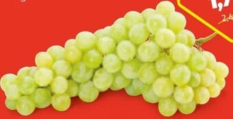 Hofer Trauben Angebot