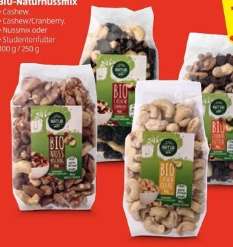 Hofer Bio-naturnuss mix Angebot