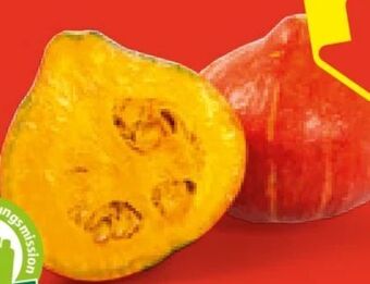 Hofer Bio-kürbis Angebot