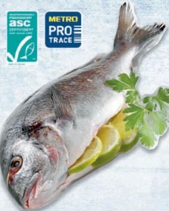 Metro Goldbrasse Angebot