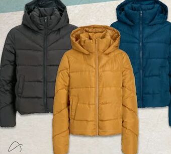 Metro Damen jacke Angebot