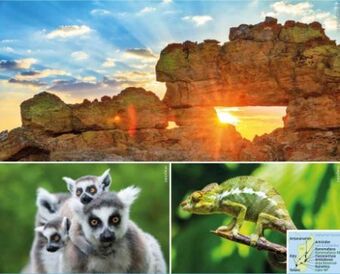 Hofer Reisen Rundreise madagaskar Angebot