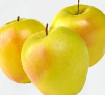 ETSAN Apfel golden delicious Angebot