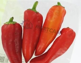ETSAN Rote kapya paprika Angebot