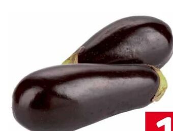 Transgourmet Melanzani Angebot