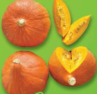 Lidl Bio speisekürbis hokkaido Angebot