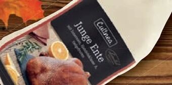 Lidl Junge ente Angebot