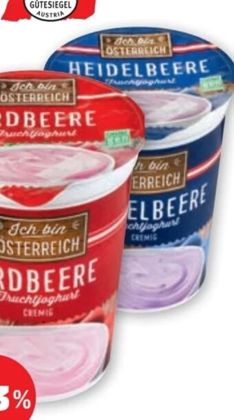 PENNY Fruchtjoghurt Angebot