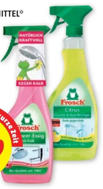 PENNY Reinigungsmittel Angebot