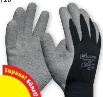 PENNY Winter-handschuhe winter eco Angebot