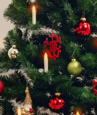 Interspar Celebration weihnachtsbaum Angebot