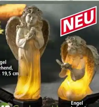 Norma Led-solar-engel Angebot
